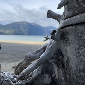 emailburner626 avatar