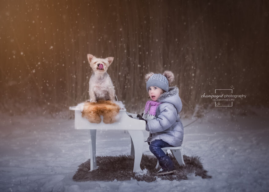 My Dog & Me My Dog & Me