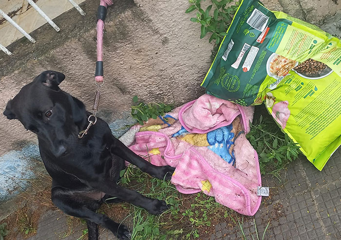 Woman Asked For Help On Social Media After Finding Abandoned Dog With A Note “I’m Sorry, Please Take Care Of Her” Woman Asked For Help On Social Media After Finding Abandoned Dog With A Note “I’m Sorry, Please Take Care Of Her”