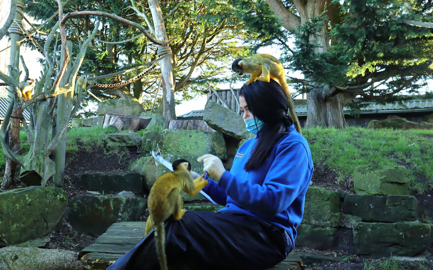 Drusillas Zoo Counts Every Paw, Claw, Feather, And Fang For Annual Stock Take