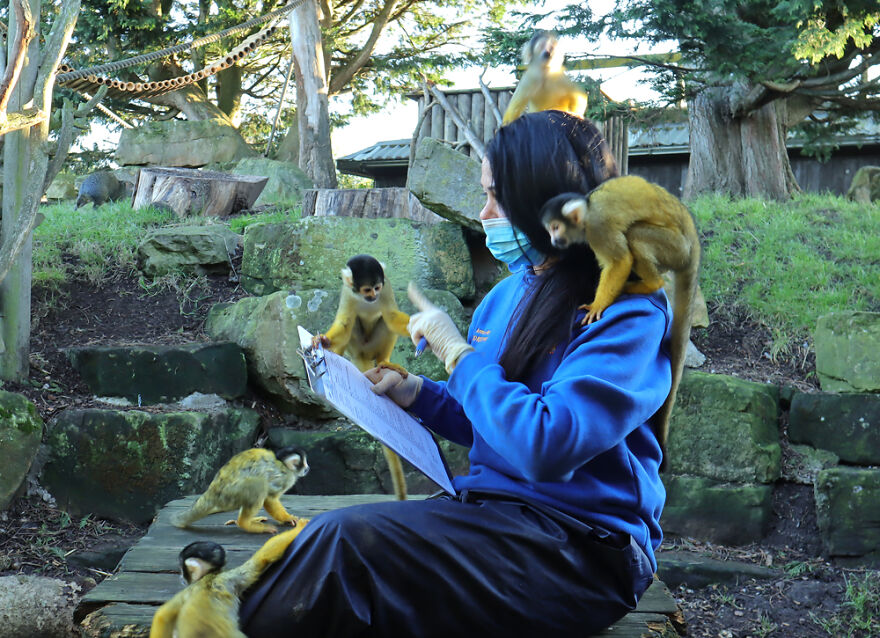 Drusillas Zoo Counts Every Paw, Claw, Feather, And Fang For Annual Stock Take