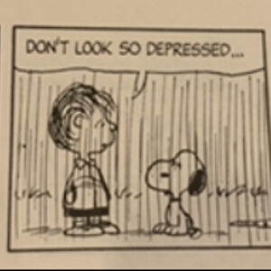 lindseyaweaver avatar