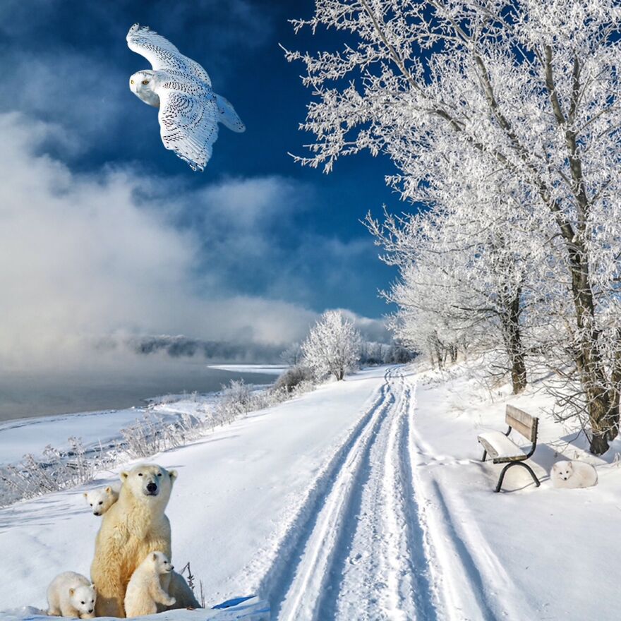 This Is My Most Realistic Photo I Have Ever Edited. Edited On Inshot (Aka The Best Photo Editor On The App Store). Highly Recommend.