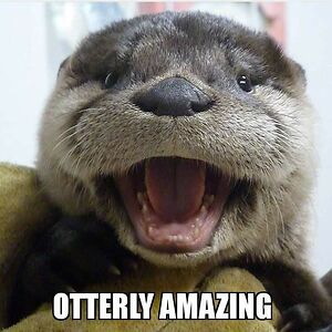 christine_brand avatar