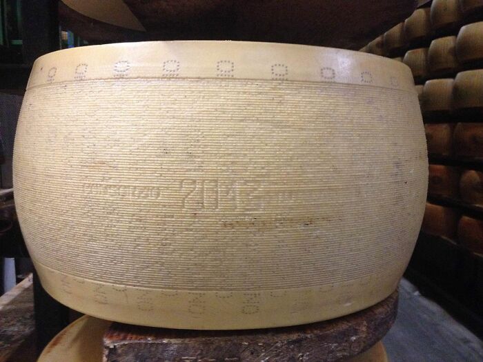 «Hoy aprendí»: 25 Nuevos datos que demuestran que nunca es tarde para aprender