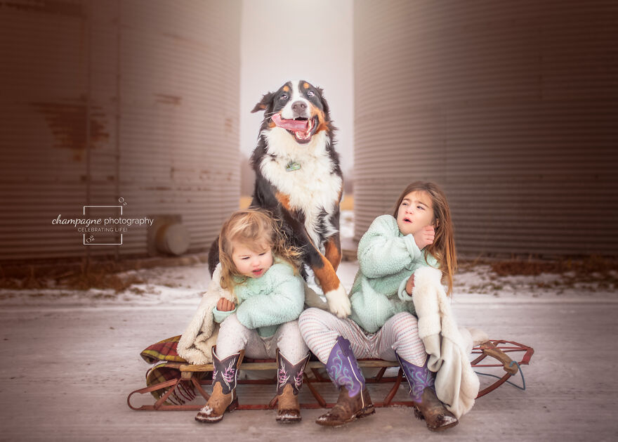 My Dog & Me My Dog & Me