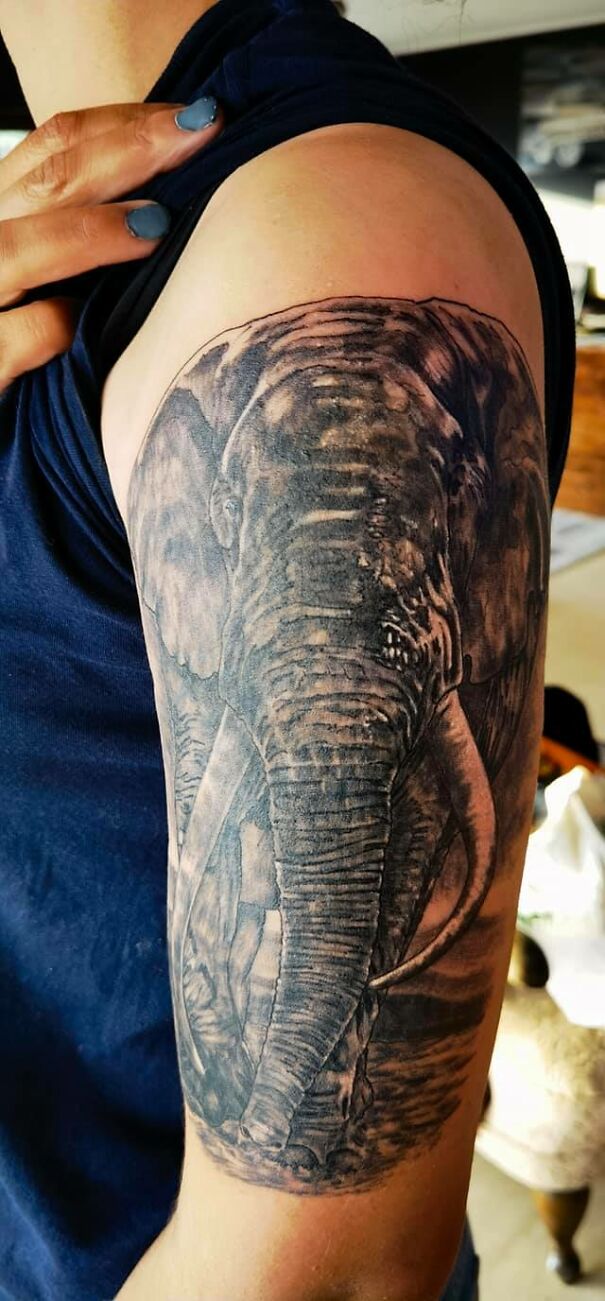 "Impressive new tattoo of a detailed elephant on a person's upper arm, emphasizing intricate shading and realism."