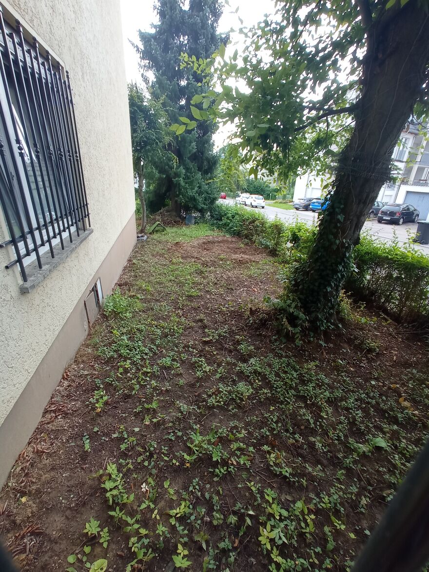 I Built A Small Outdoor Save Space For My Cats