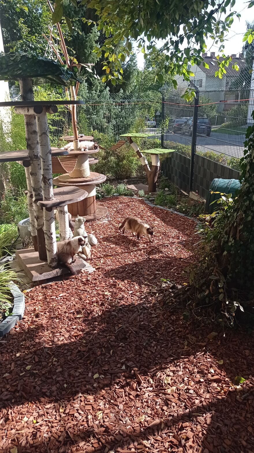 I Built A Small Outdoor Save Space For My Cats