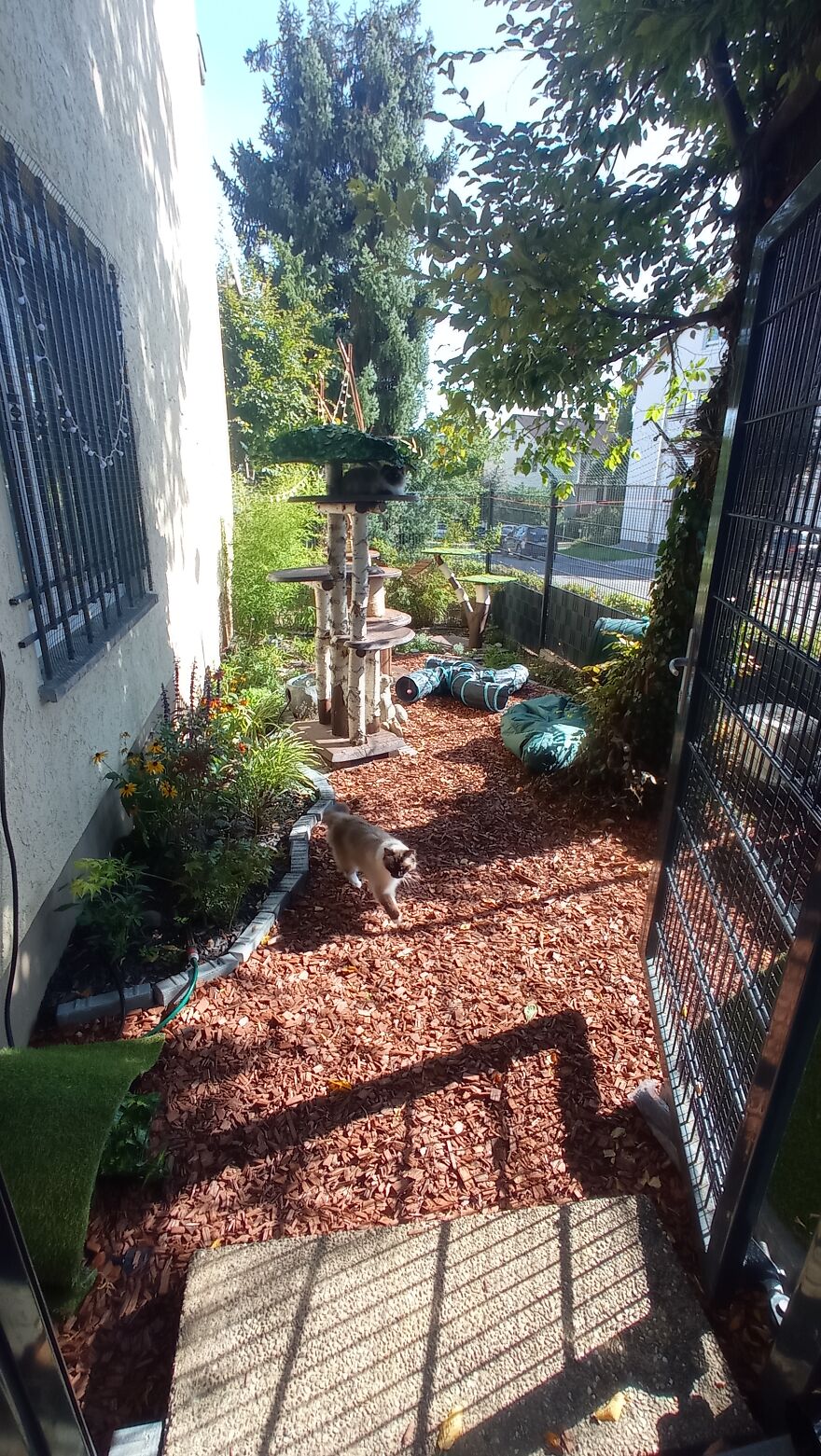I Built A Small Outdoor Save Space For My Cats