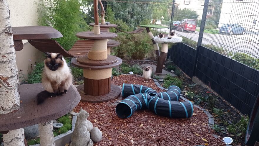 I Built A Small Outdoor Save Space For My Cats