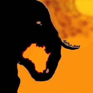 ogunkunleyetunde2017 avatar