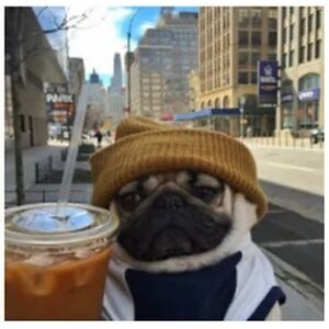 matildabunny2018 avatar