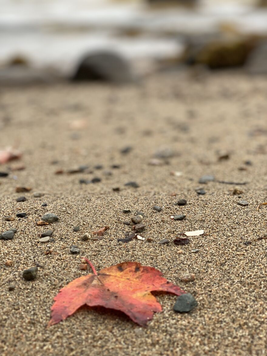 Autumn In Maine