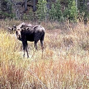 colton-kleinschmidt avatar