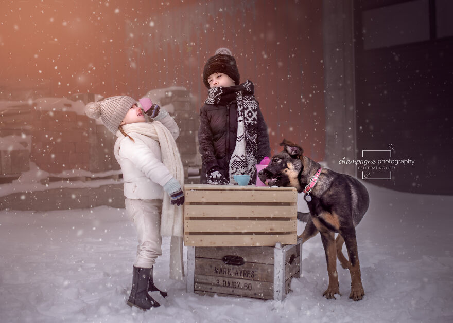 My Dog & Me My Dog & Me