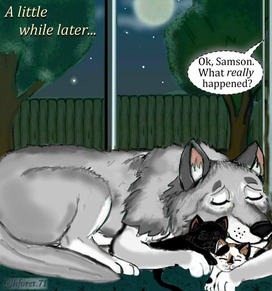 Little Surprises Pt II And III Of My Comics