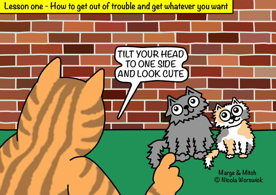 Marge And Mitch Funny Single Panel Comics