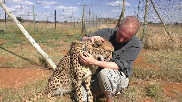 Meet Dolph, A Man Who Became Best Friends With A Wild Cheetah