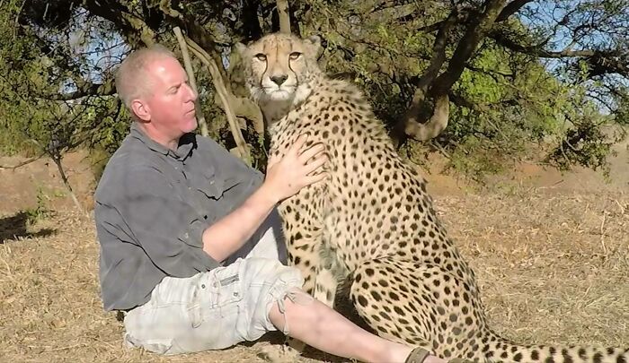 Meet Dolph, A Man Who Became Best Friends With A Wild Cheetah