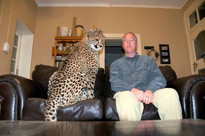 Meet Dolph, A Man Who Became Best Friends With A Wild Cheetah