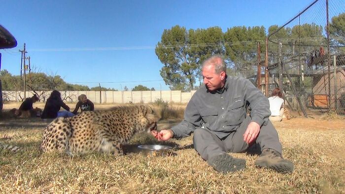 Meet Dolph, A Man Who Became Best Friends With A Wild Cheetah