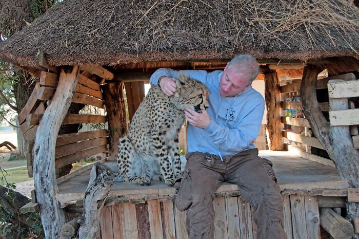 Meet Dolph, A Man Who Became Best Friends With A Wild Cheetah