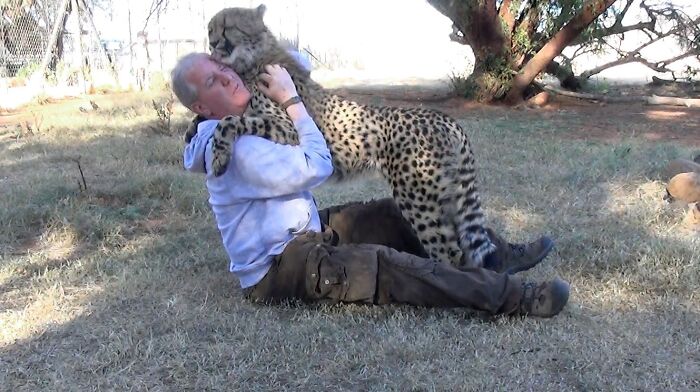 Meet Dolph, A Man Who Became Best Friends With A Wild Cheetah