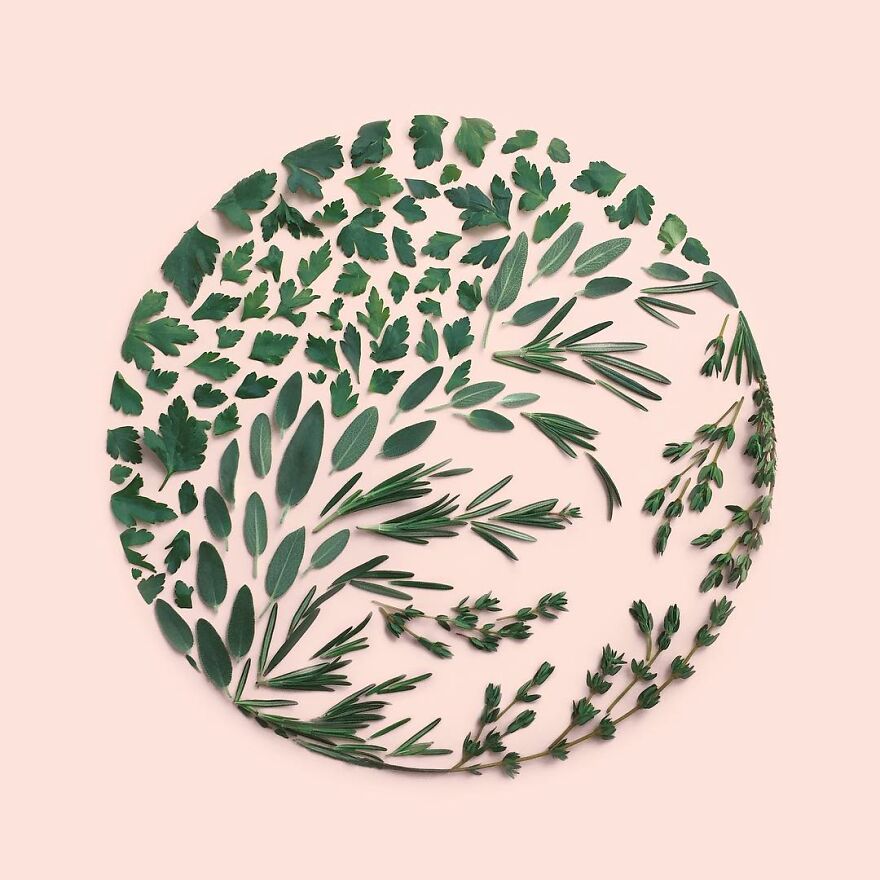 Meet Kristen Meyer's Geometric Compositions