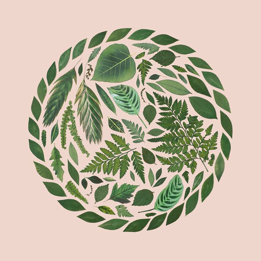 Meet Kristen Meyer's Geometric Compositions