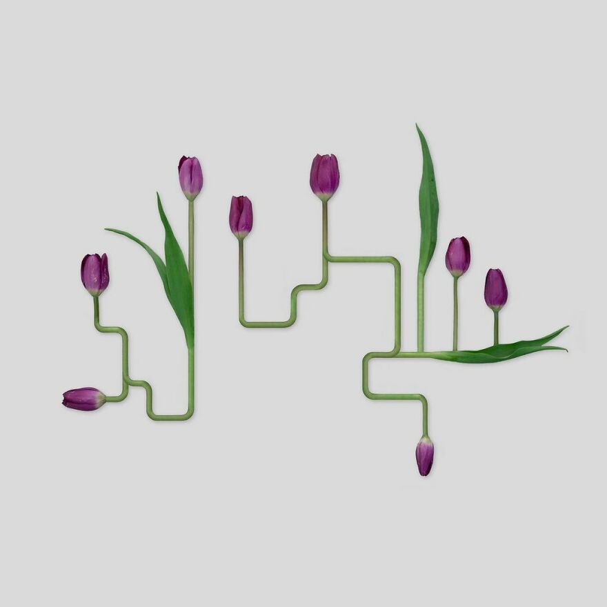 Meet Kristen Meyer's Geometric Compositions