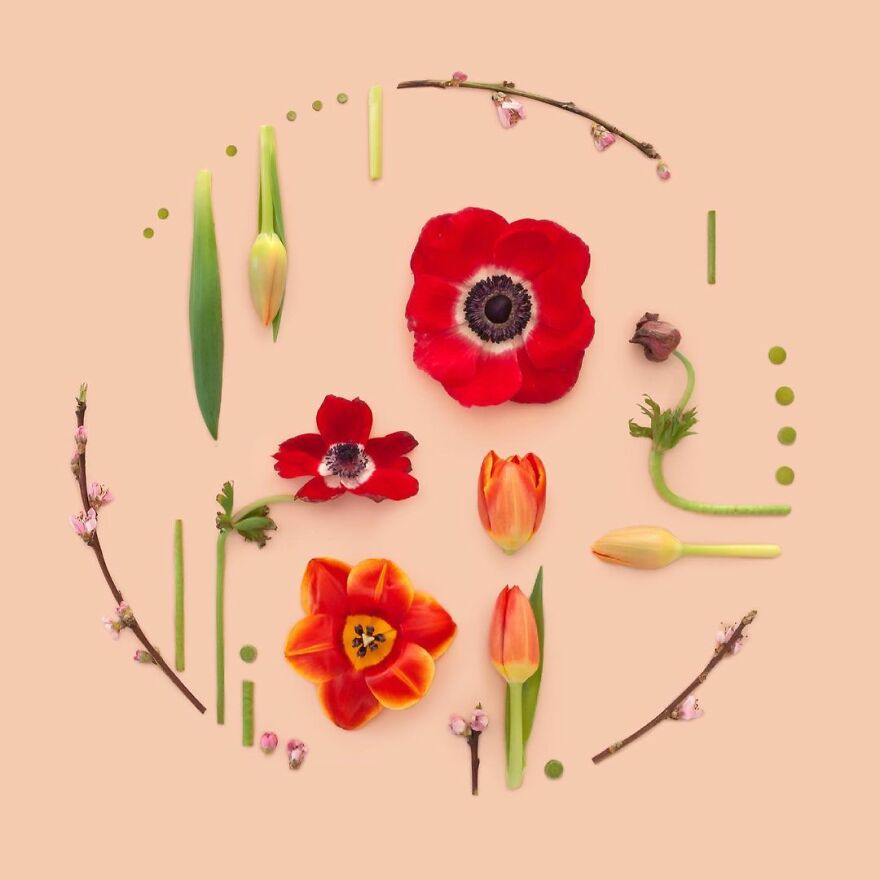 Meet Kristen Meyer's Geometric Compositions