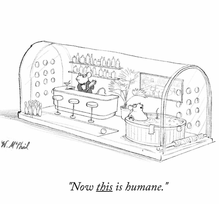 New York Cartoonist Continues To Entertain With His Dazzling Comics (New Comics)