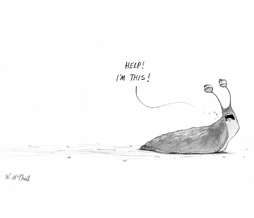 New York Cartoonist Continues To Entertain With His Dazzling Comics (New Comics)