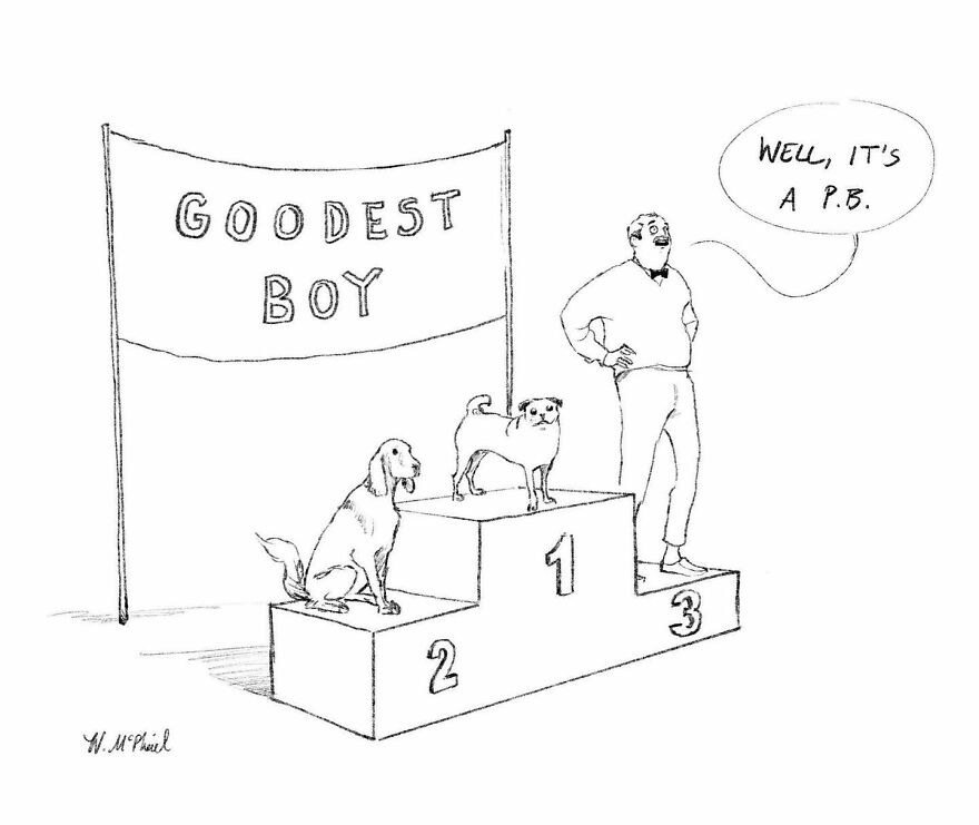 New York Cartoonist Continues To Entertain With His Dazzling Comics (New Comics)