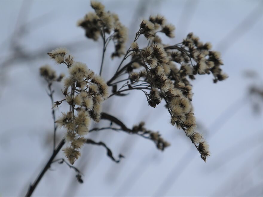 Some Pics Of Winter In Poland