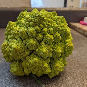 kathleenspellman avatar