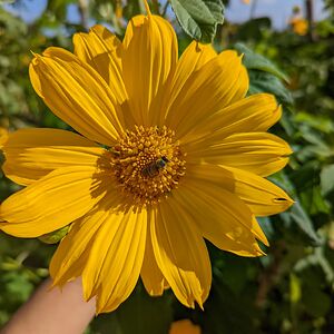 natashawoodworth avatar