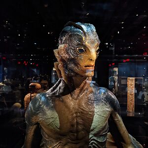 williams-paige24 avatar