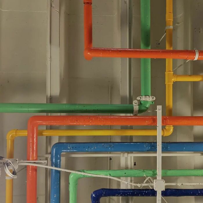 Photographer Captures Incredible Images Of San Francisco's Unique Way Of Life