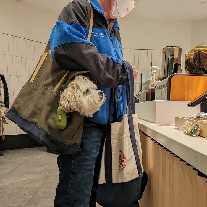 Photographer Captures Incredible Images Of San Francisco's Unique Way Of Life