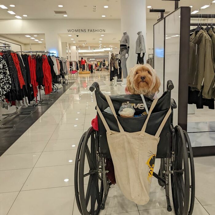 Photographer Captures Incredible Images Of San Francisco's Unique Way Of Life