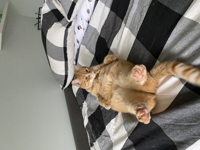 My Loaf Of Bread With Squishy Beans, Hermie!