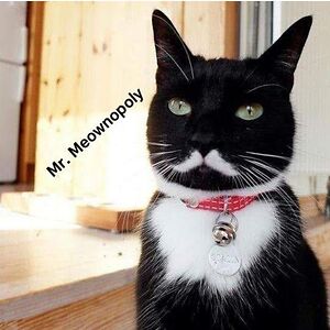 crystallyons_1 avatar