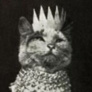 allison-mardika avatar