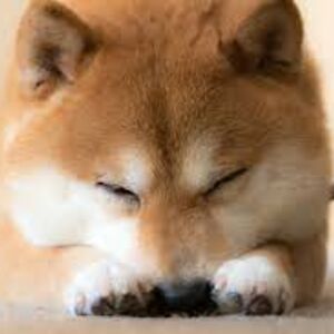 marlowdelrazolane avatar