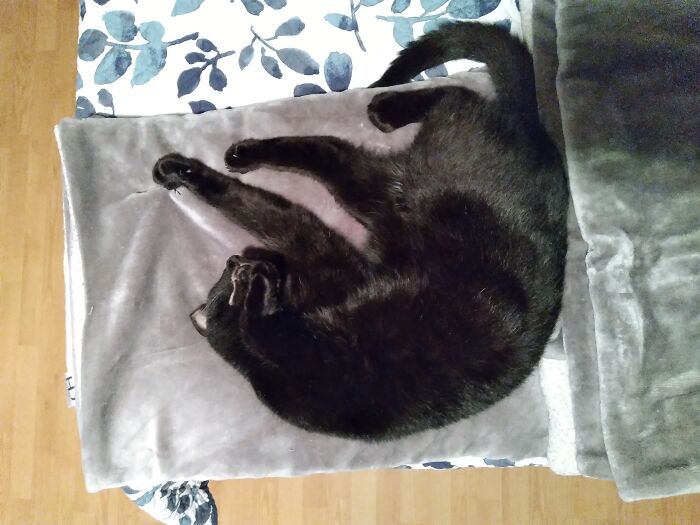 My Void Buster. Kinda Broken But Cute Af