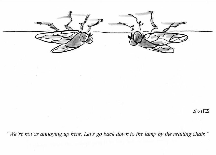 Texan Artist Creates One-Panel Comics With Irreverent Humor