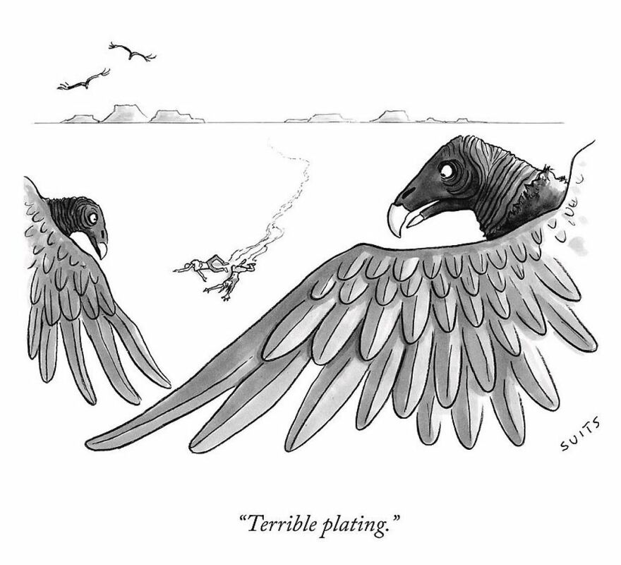 Texan Artist Creates One-Panel Comics With Irreverent Humor