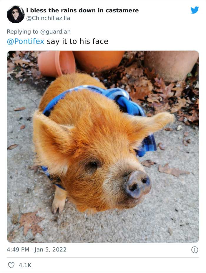 Pope-Francis-Selfish-To-Have-Pets-Instead-Of-Kids